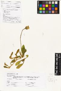SW_BNB_s3070-04083_IMG-0000000001