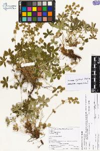 SW_BNB_s3070-04085_IMG-0000000001