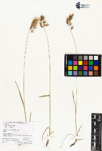 SW_BNB_s3070-04087_IMG-0000000001