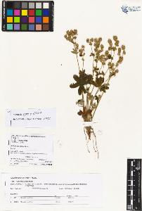 SW_BNB_s3070-04101_IMG-0000000001