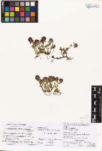 SW_BNB_s3070-04102_IMG-0000000001