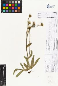 SW_BNB_s3070-04106_IMG-0000000001