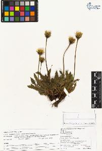 SW_BNB_s3070-04112_IMG-0000000001
