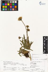SW_BNB_s3070-04114_IMG-0000000001