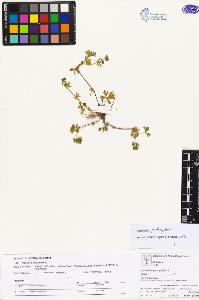 SW_BNB_s3070-04115_IMG-0000000001