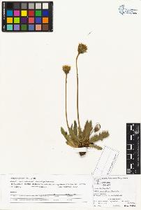 SW_BNB_s3070-04123_IMG-0000000001