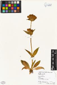 SW_BNB_s3070-04125_IMG-0000000001