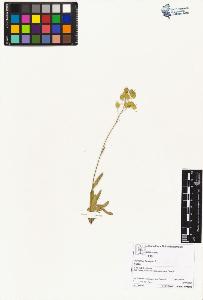 SW_BNB_s3070-04129_IMG-0000000001
