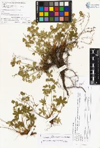 SW_BNB_s3070-04133_IMG-0000000001