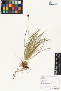 SW_BNB_s3070-04137_IMG-0000000001