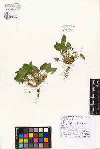 SW_BNB_s3070-04143_IMG-0000000001