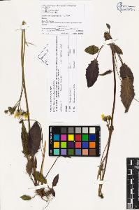 SW_BNB_s3070-04144_IMG-0000000001