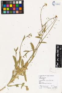 SW_BNB_s3070-04150_IMG-0000000001