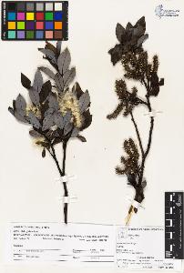 SW_BNB_s3070-04152_IMG-0000000001