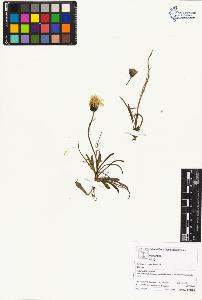 SW_BNB_s3070-04159_IMG-0000000001