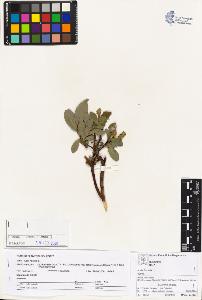 SW_BNB_s3070-04163_IMG-0000000001