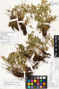 SW_BNB_s3070-04167_IMG-0000000001