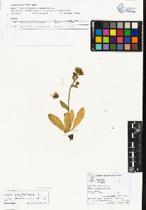 SW_BNB_s3070-04178_IMG-0000000001