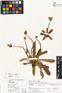 SW_BNB_s3070-04179_IMG-0000000001