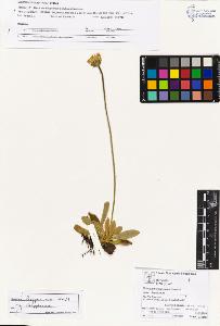 SW_BNB_s3070-04182_IMG-0000000001