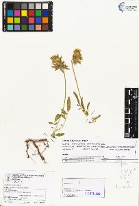 SW_BNB_s3070-04183_IMG-0000000001
