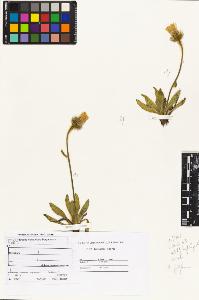 SW_BNB_s3070-04186_IMG-0000000001