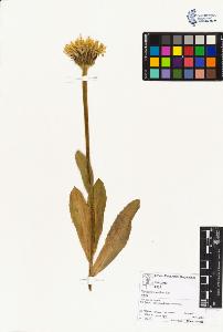 SW_BNB_s3070-04193_IMG-0000000001