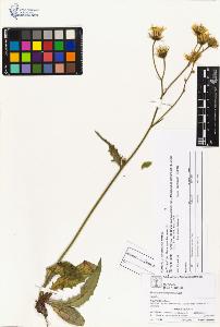 SW_BNB_s3070-04195_IMG-0000000001