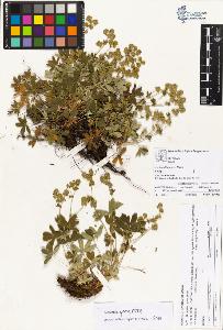 SW_BNB_s3070-04198_IMG-0000000001