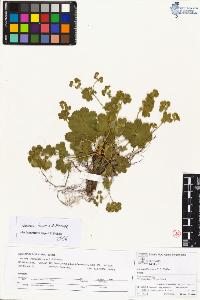 SW_BNB_s3070-04201_IMG-0000000001