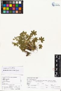 SW_BNB_s3070-04202_IMG-0000000001