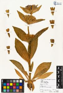 SW_BNB_s3070-04203_IMG-0000000001
