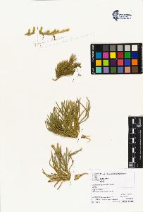 SW_BNB_s3070-04214_IMG-0000000001