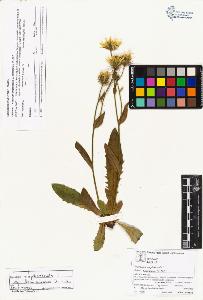 SW_BNB_s3070-04216_IMG-0000000001