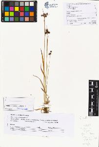 SW_BNB_s3070-04219_IMG-0000000001