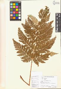 SW_BNB_s3070-04220_IMG-0000000001