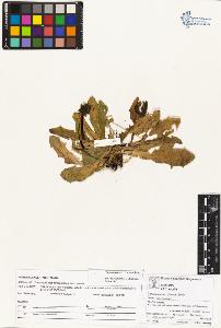 SW_BNB_s3070-04224_IMG-0000000001