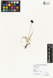 SW_BNB_s3070-04225_IMG-0000000001