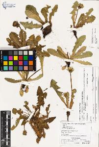 SW_BNB_s3070-04229_IMG-0000000001