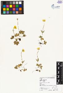 SW_BNB_s3070-04234_IMG-0000000001