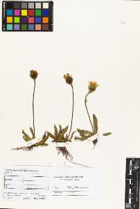 SW_BNB_s3070-04235_IMG-0000000001