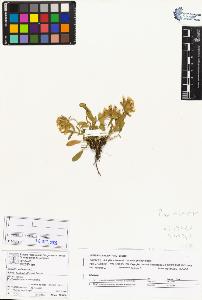 SW_BNB_s3070-04237_IMG-0000000001