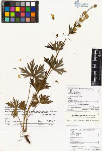 SW_BNB_s3070-04238_IMG-0000000001