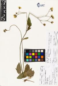 SW_BNB_s3070-04242_IMG-0000000001