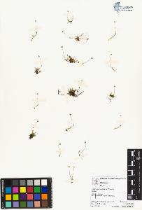 SW_BNB_s3070-04245_IMG-0000000001