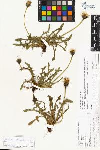 SW_BNB_s3070-04246_IMG-0000000001