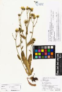 SW_BNB_s3070-04247_IMG-0000000001
