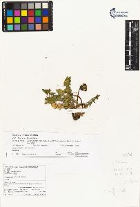 SW_BNB_s3070-04250_IMG-0000000001