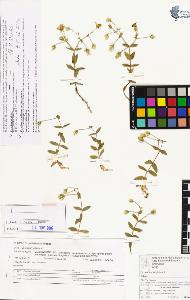 SW_BNB_s3070-04251_IMG-0000000001
