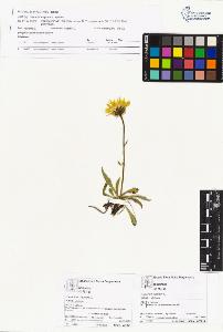 SW_BNB_s3070-04252_IMG-0000000001